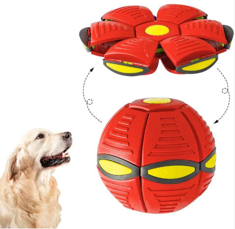 Magic UFO Dog Ball