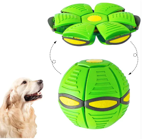 Magic UFO Dog Ball